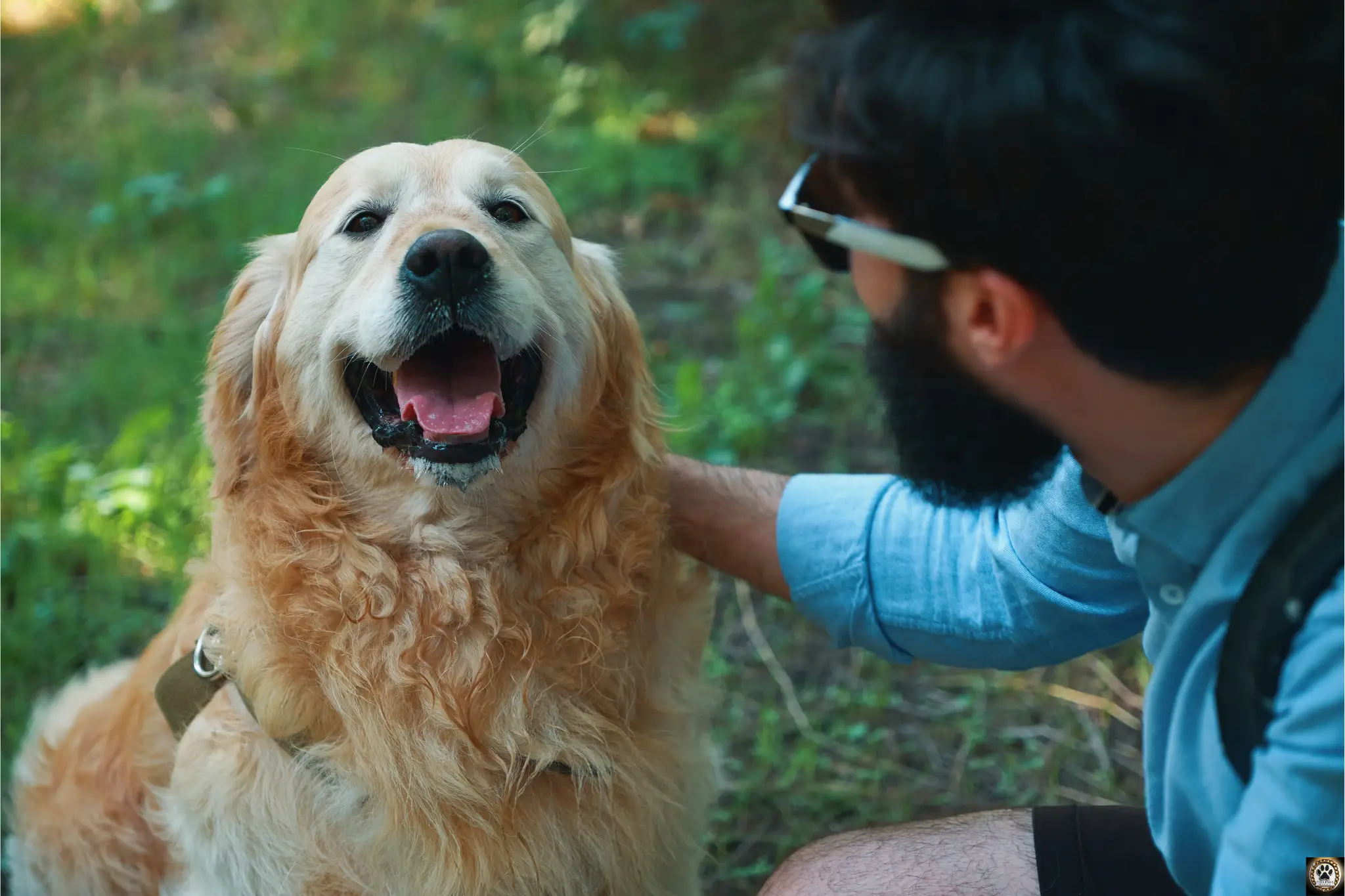 Happy dog and owner
