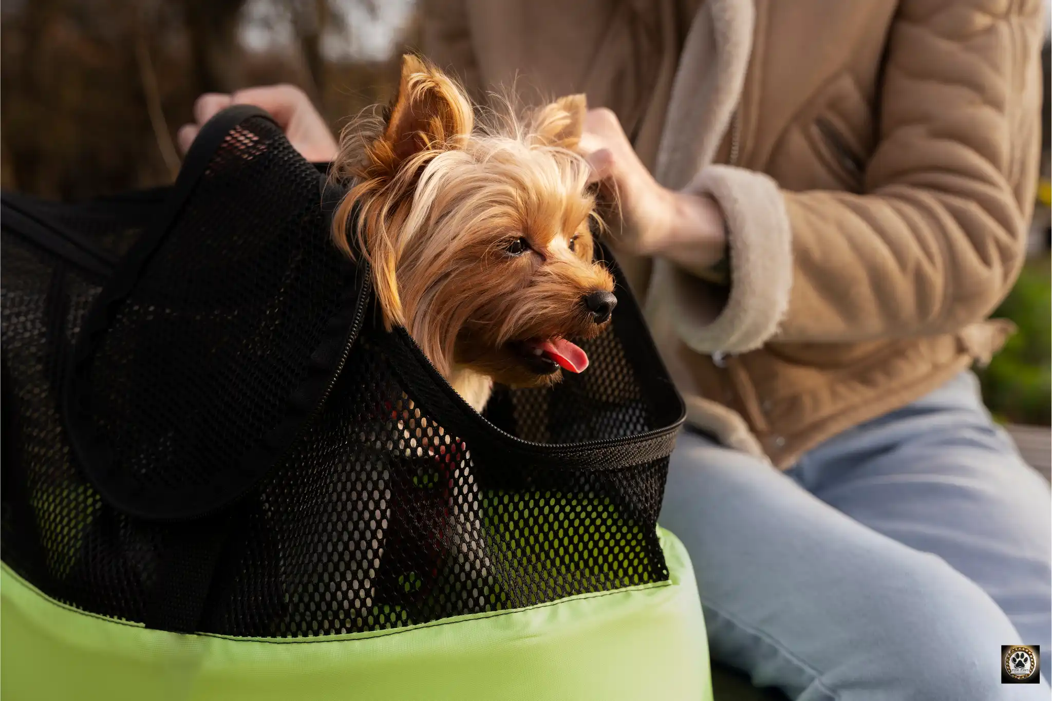 Pet Transportation