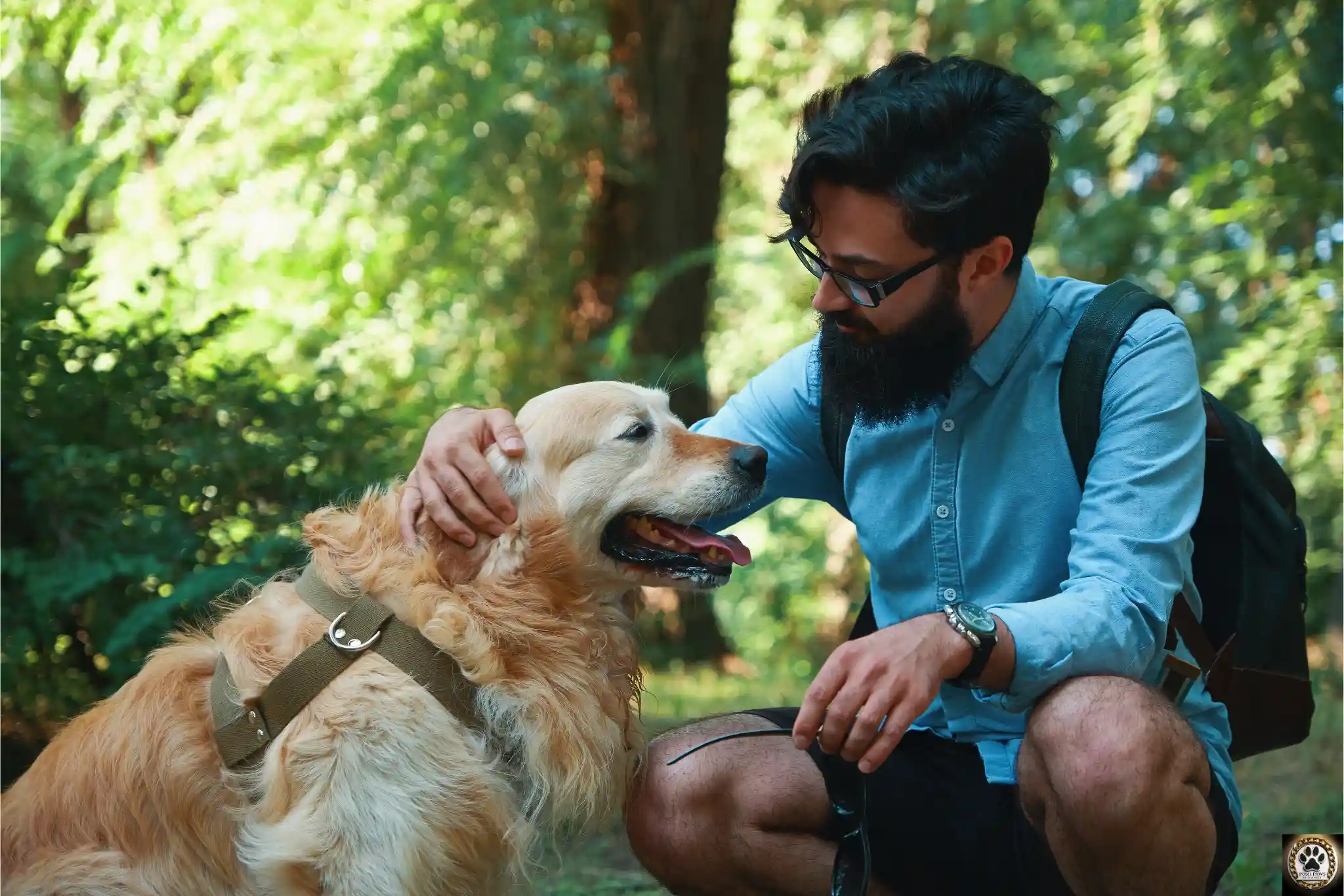 Pet Counselling